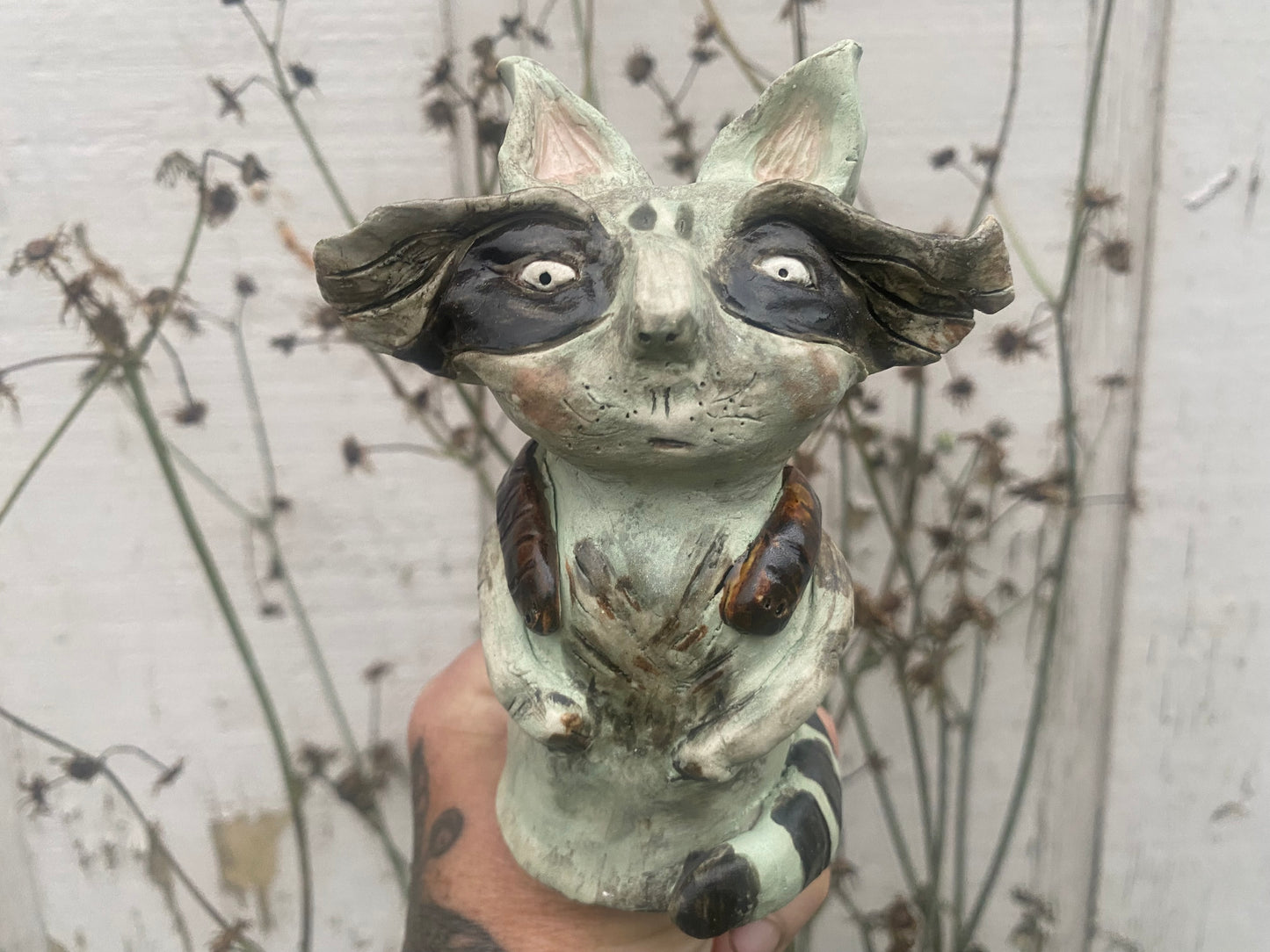 Tilly the Racoon