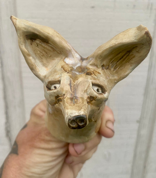 Lil’ chihuahua
