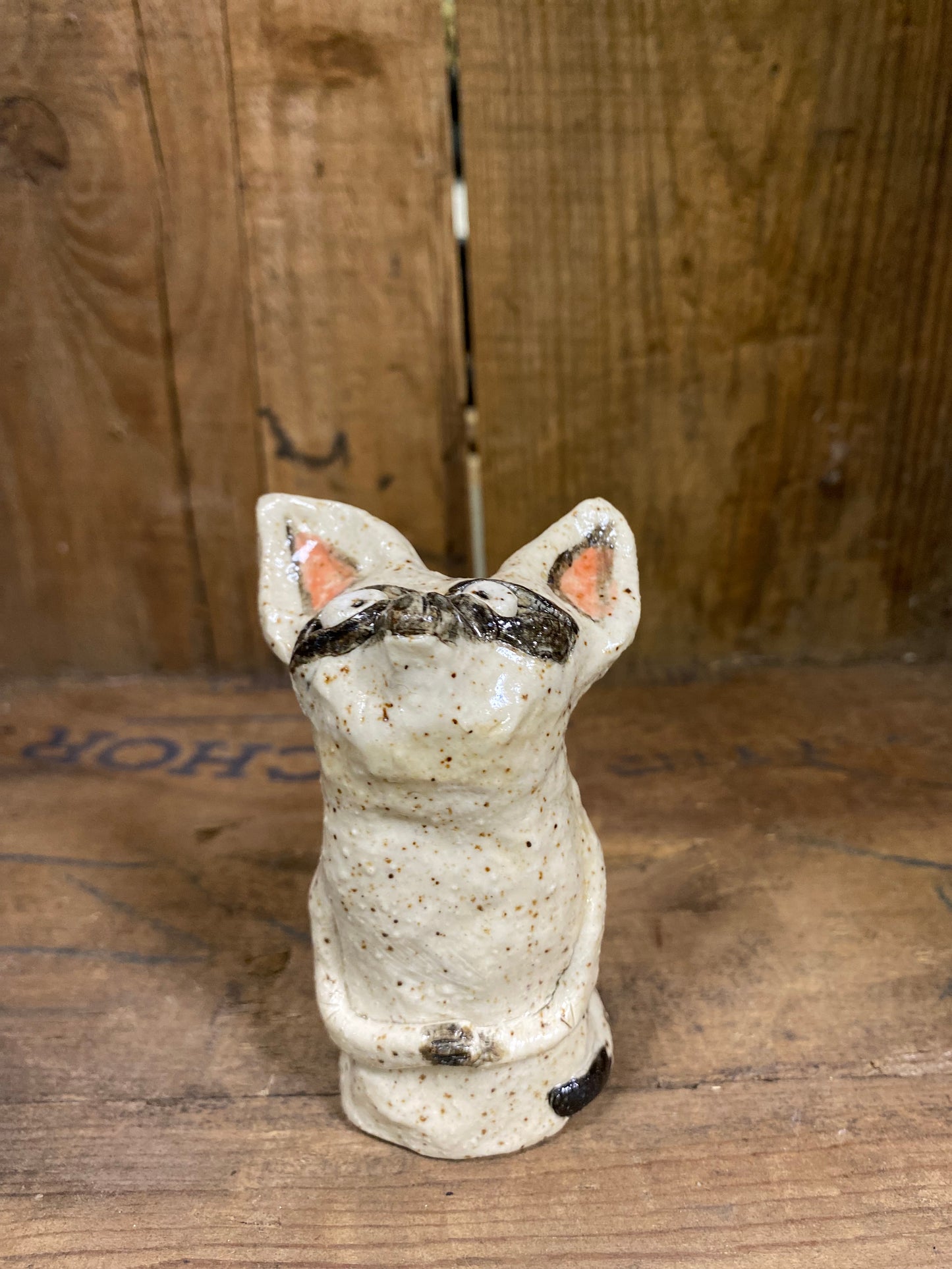 Chester the shy niblet No.4