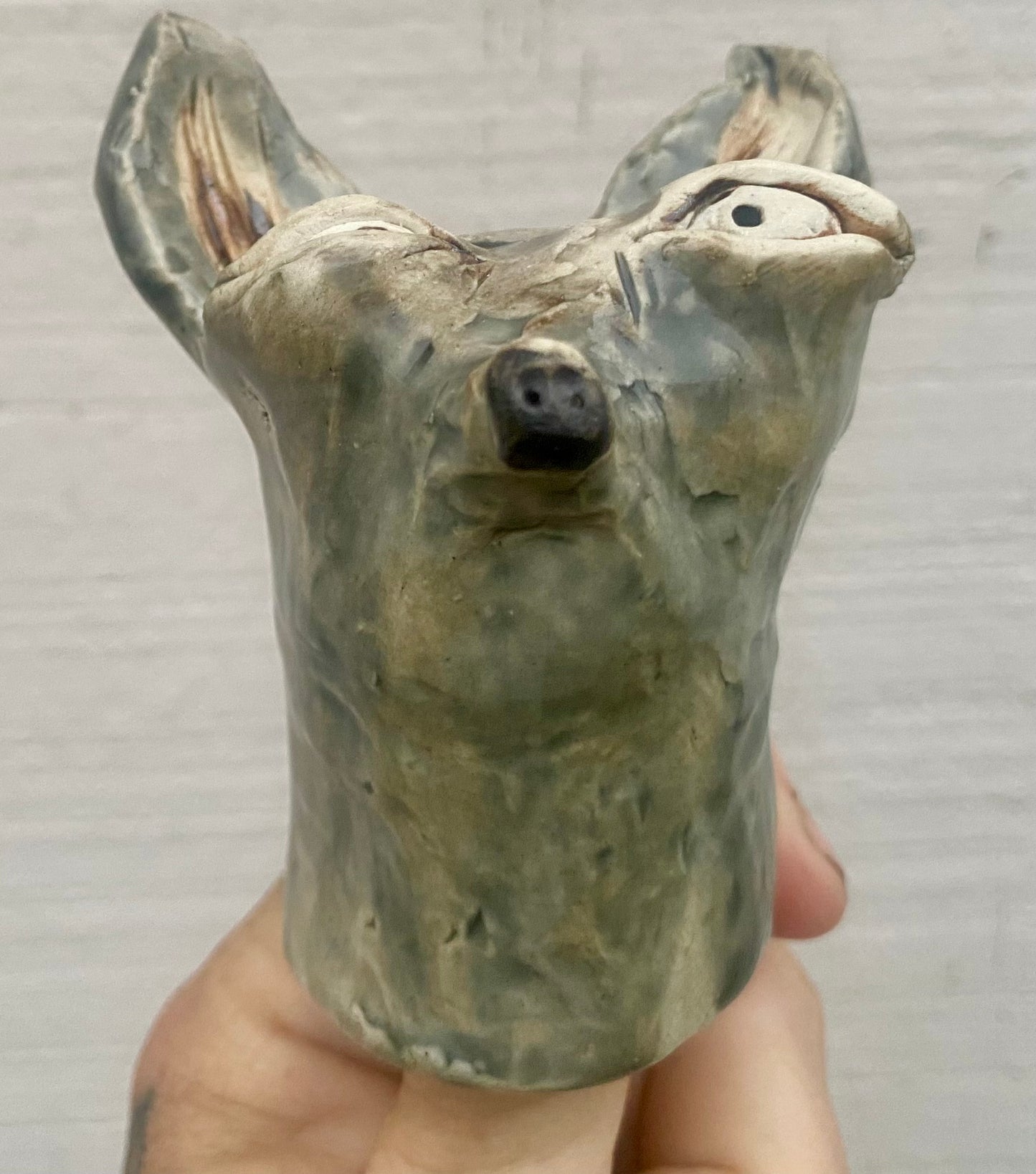 Lil’ chihuahua grey