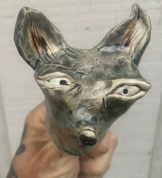 Lil’ chihuahua grey