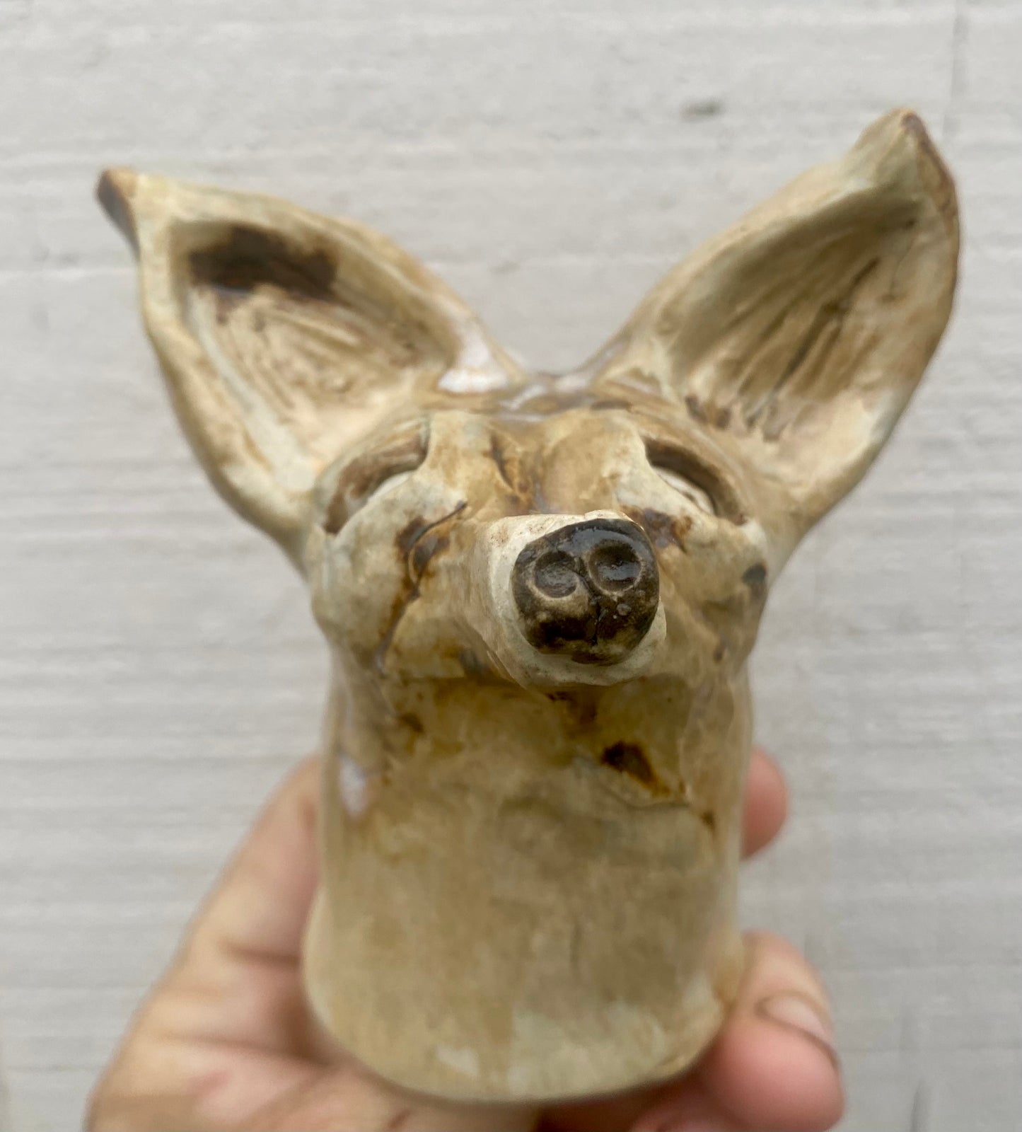 Lil’ chihuahua